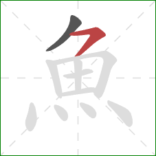 魚的笔顺第2画：横撇/横钩