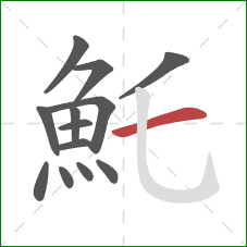 魠的笔顺第13画:横 魠的笔顺第13画:横