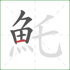 魠的笔顺第7画:横 魠的笔顺第7画:横