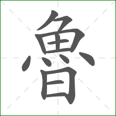 魯的部首 魯的部首