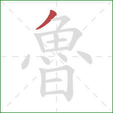 魯的笔顺第1画:撇 魯的笔顺第1画:撇