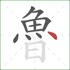 魯的笔顺第11画:点 魯的笔顺第11画:点