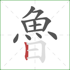 魯的笔顺第12画:竖 魯的笔顺第12画:竖