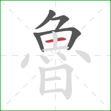 魯的笔顺第5画:横 魯的笔顺第5画:横