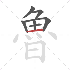 魯的笔顺第7画:横 魯的笔顺第7画:横