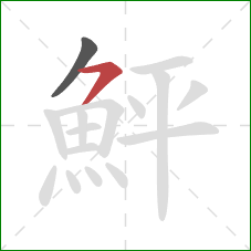 鮃的笔顺第2画:横撇 鮃的笔顺第2画:横撇