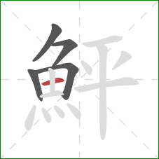 鮃的笔顺第5画:横 鮃的笔顺第5画:横