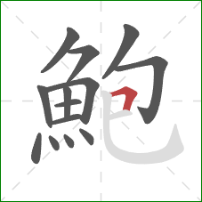 鮑的笔顺第14画:横折 鮑的笔顺第14画:横折