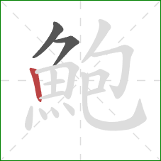 鮑的笔顺第3画:竖 鮑的笔顺第3画:竖