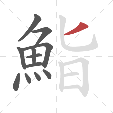 鮨的笔顺第12画：撇