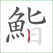鮨的笔顺第14画：竖
