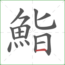 鮨的笔顺第17画：横