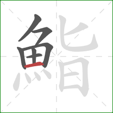 鮨的笔顺第7画：横