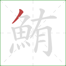 鮪的笔顺第1画:撇 鮪的笔顺第1画:撇