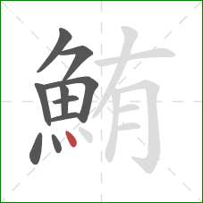 鮪的笔顺第10画:点 鮪的笔顺第10画:点