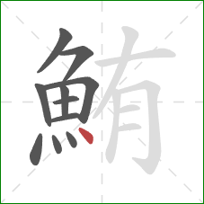 鮪的笔顺第11画:点 鮪的笔顺第11画:点