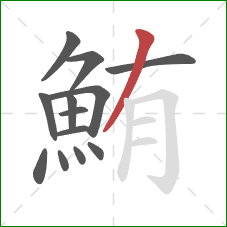鮪的笔顺第13画:撇 鮪的笔顺第13画:撇