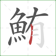 鮪的笔顺第14画:竖 鮪的笔顺第14画:竖