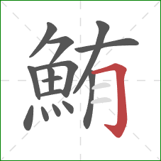 鮪的笔顺第15画:横折钩 鮪的笔顺第15画:横折钩