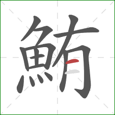 鮪的笔顺第16画:横 鮪的笔顺第16画:横