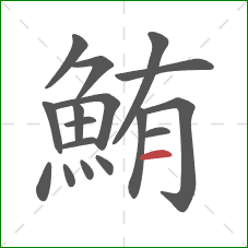 鮪的笔顺第17画:横 鮪的笔顺第17画:横