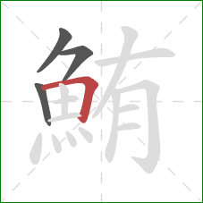 鮪的笔顺第4画:横折 鮪的笔顺第4画:横折