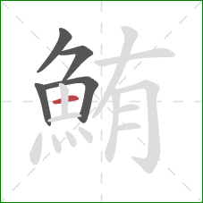 鮪的笔顺第5画:横 鮪的笔顺第5画:横