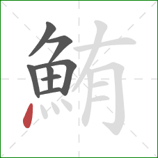 鮪的笔顺第8画:点 鮪的笔顺第8画:点