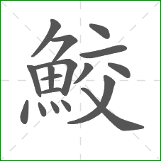 鮫的部首 鮫的部首