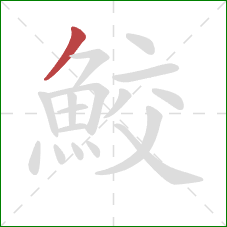 鮫的笔顺第1画:撇 鮫的笔顺第1画:撇