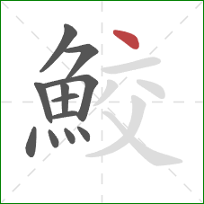 鮫的笔顺第12画:点 鮫的笔顺第12画:点