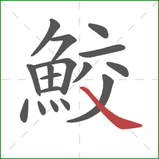 鮫的笔顺第17画:捺 鮫的笔顺第17画:捺