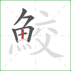 鮫的笔顺第6画:竖 鮫的笔顺第6画:竖