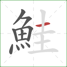 鮭的笔顺第12画:横 鮭的笔顺第12画:横
