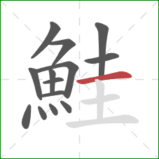 鮭的笔顺第14画:横 鮭的笔顺第14画:横