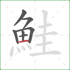 鮭的笔顺第7画:横 鮭的笔顺第7画:横