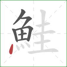 鮭的笔顺第8画:点 鮭的笔顺第8画:点