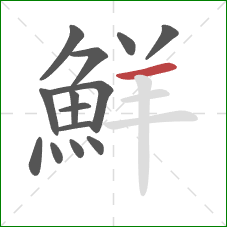 鮮的笔顺第14画:横 鮮的笔顺第14画:横