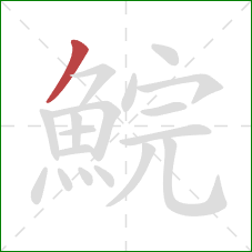鯇的笔顺第1画:撇 鯇的笔顺第1画:撇