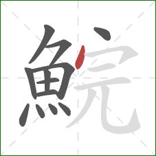 鯇的笔顺第13画:点 鯇的笔顺第13画:点