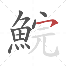 鯇的笔顺第14画:横撇/横钩 鯇的笔顺第14画:横撇/横钩