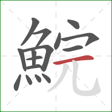 鯇的笔顺第16画:横 鯇的笔顺第16画:横