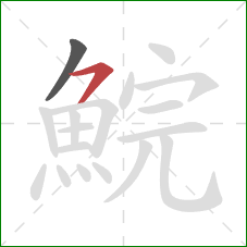 鯇的笔顺第2画:横撇 鯇的笔顺第2画:横撇