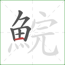 鯇的笔顺第7画:横 鯇的笔顺第7画:横