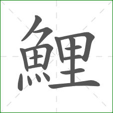 鯉的部首 鯉的部首