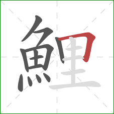 鯉的笔顺第13画:横折 鯉的笔顺第13画:横折