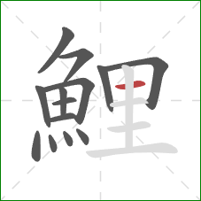 鯉的笔顺第14画:横 鯉的笔顺第14画:横