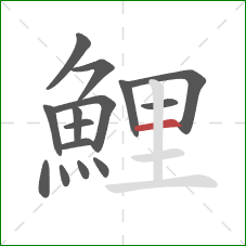 鯉的笔顺第15画:横 鯉的笔顺第15画:横