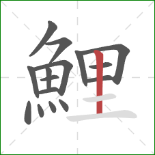 鯉的笔顺第16画:竖 鯉的笔顺第16画:竖
