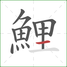 鯉的笔顺第17画:横 鯉的笔顺第17画:横